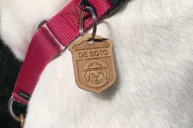 Photo of Dog Wearing BARK Ranger Tag